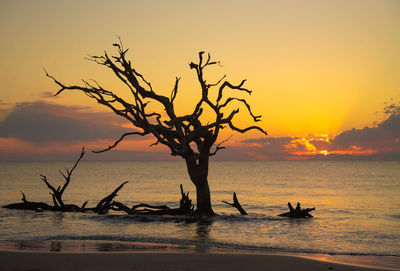 Silhouette bare tree by sea against sky during sunset