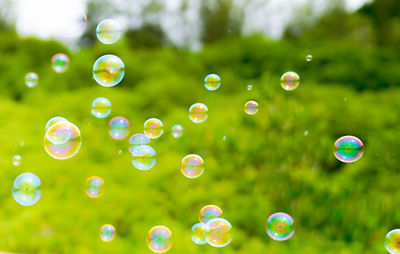 Close-up of bubbles