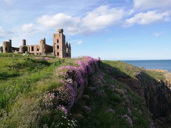 Purple flowering plants by sea and buildings against sky