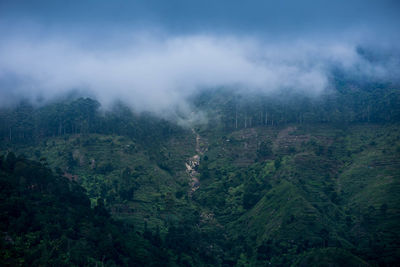 High angle view of trees on landscape against sky