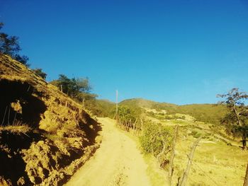 Panoramic view of road amidst trees against clear blue sky