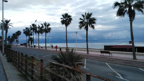 Palm trees on beach against sky