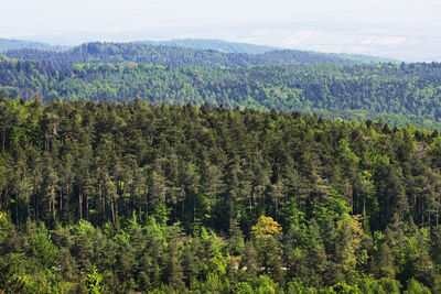 Scenic view of landscape