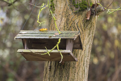 Close-up of birdhouse on wooden post