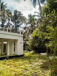 House by palm trees in park against sky