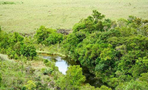 Scenic view of lake by trees