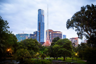 Trees in park with city in background