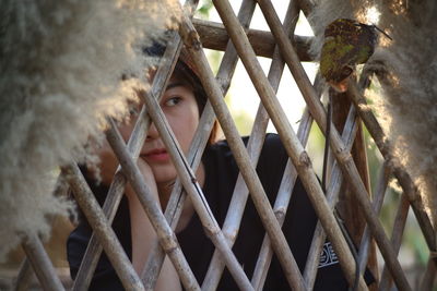 Close-up of a horse on fence