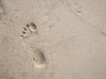 High angle view of footprints on sand