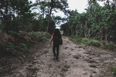 Rear view of woman walking on road amidst trees in forest