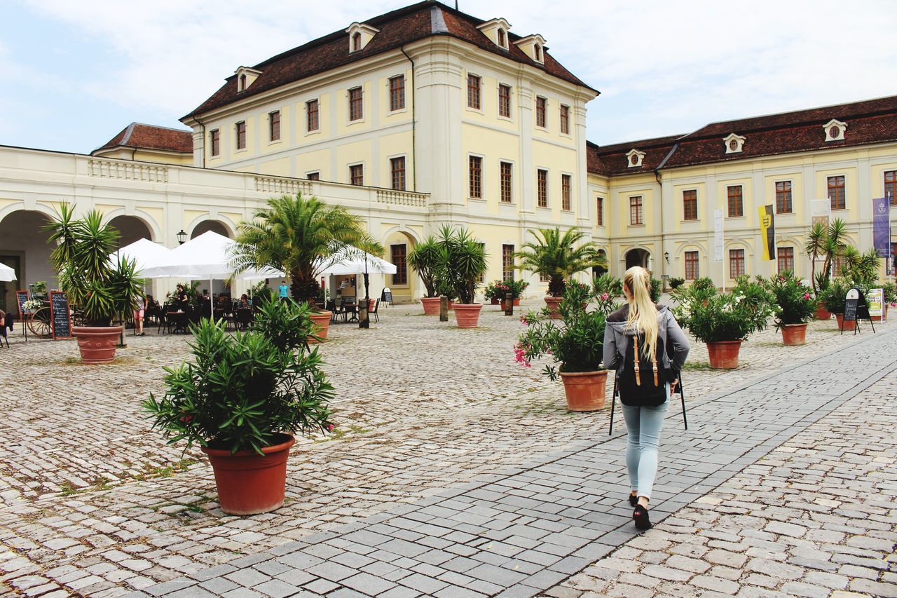 building exterior, architecture, built structure, potted plant, cobblestone, city, sky, street, day, plant, outdoors, building, incidental people, tree, town square, art, person, art and craft, sunlight, paving stone