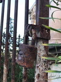 Close-up of old rusty gate