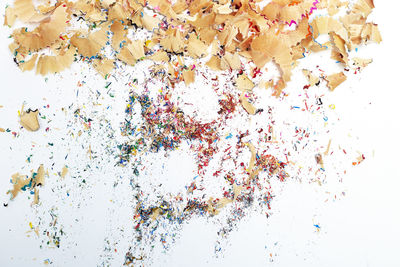 Close-up of leaves against white background