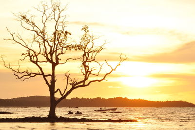 Silhouette bare tree by sea against sky during sunset