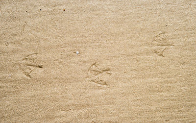 High angle view of footprints on sand