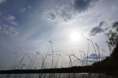 Sun shining through clouds