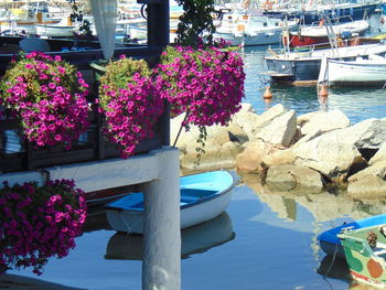 Close-up of moored in water