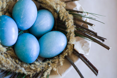 High angle view of eggs on table