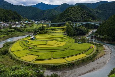 Scenic view of agricultural landscape