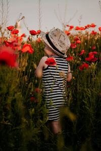 A boy in flowers. poppy field