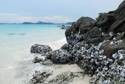 Rock formation on beach against sky