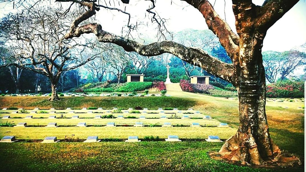 tree, day, bare tree, grass, growth, nature, outdoors, field, no people, branch, memorial, tranquility, tree trunk, beauty in nature, landscape, sky, architecture