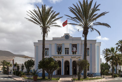 Palm trees and buildings against sky