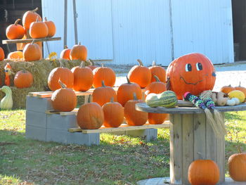 View of pumpkins in market