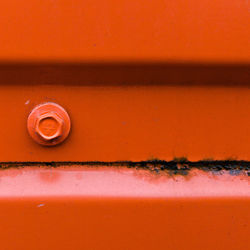 Close-up view of orange