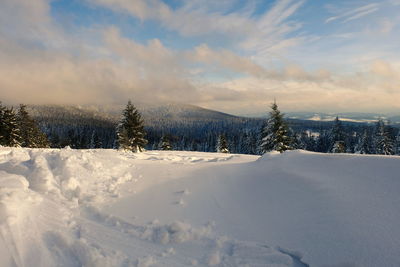 Snow covered land and trees against sky