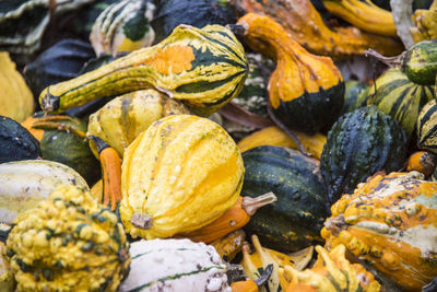 Full frame shot of pumpkins at market