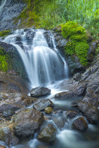 Scenic view of waterfall in forest