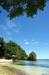 Scenic view of trees against blue sky