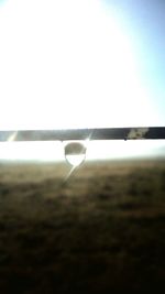 Close-up of water drops on leaf