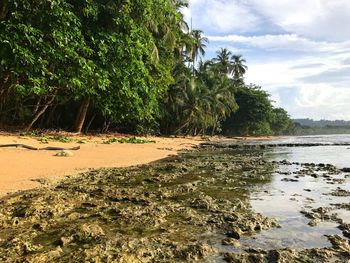 Scenic view of beach against sky