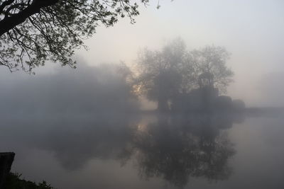 Reflection of trees in lake against sky