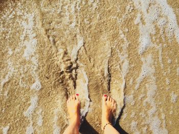 Low section of woman standing on shore at beach