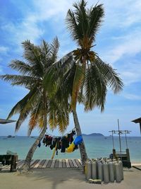 Palm tree by swimming pool against sky