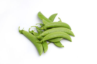 High angle view of leaf against white background