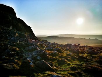 Scenic view of landscape against sky