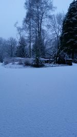 Scenic view of snow covered landscape