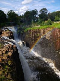 Scenic view of waterfall in forest