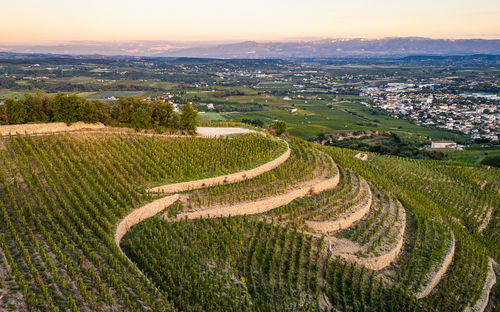 High angle view of agricultural field against sky during sunset