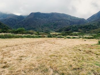 Scenic view of field against sky