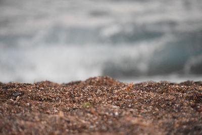 Close-up of rocks on shore