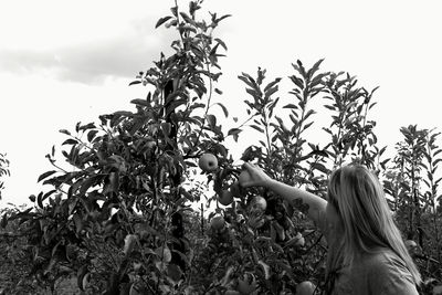 Side view of woman holding plants against sky