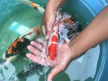 High angle view of man holding fish