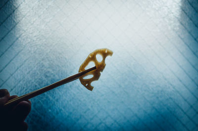 Close-up of hand holding leaf