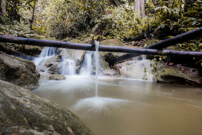 Waterfall in forest