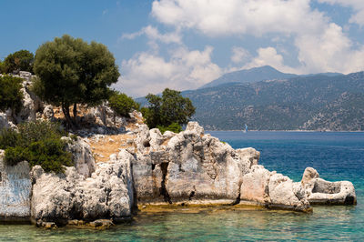 Trees by sea against sky